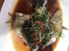 -德胜轩正宗顺德菜(宝安沙井会展中心店)