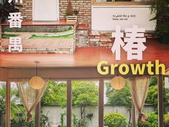 -椿Growth
