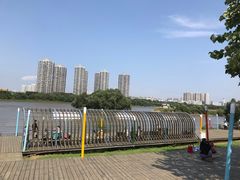 -长白岛森林公园