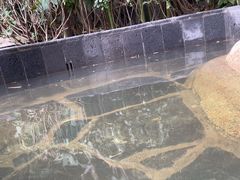 -西安国际创新人才交流中心•药浴温泉