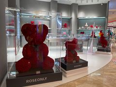 -ROSEONLY诺誓(广州K11店)