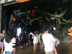 -泉城欧乐堡海洋极地世界
