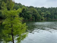 -天目湖山水园
