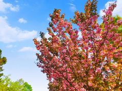 -南京市无想山景区