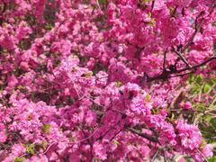 -长春公园(普阳街道)