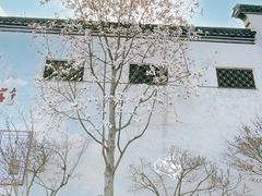 -惠山古镇·寄畅园