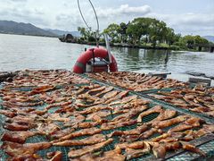 -东钱湖旅游度假区