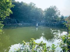 -陶祖圣境风景区