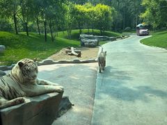 -北京野生动物园