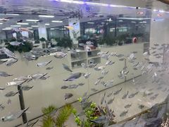 -凤凰楼酒家·粤宴点心(华强北店)