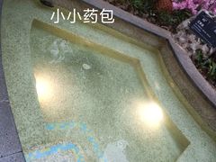 -海口观澜湖火山温泉谷