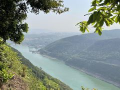 -铁山坪森林公园