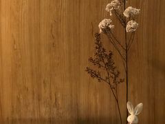 -柴务处·柴犬主题狗咖