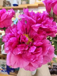 -今日陶艺(富力广场店)