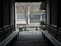 -乌镇景区