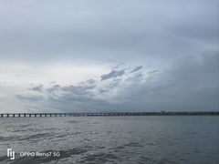 -宝安西湾红树林湿地公园