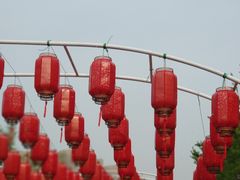 -曹州牡丹园