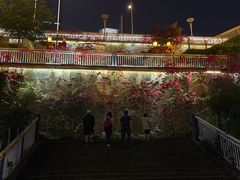 -重庆市江北嘴中央商务区中央公园