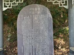 -羚羊峡古栈道森林公园