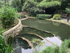 -成都市活水公园