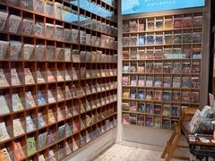 -猫的天空之城概念书店(丽江古城饮玉巷店)