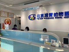 -北京观赏动物医院·24小时大型综合·猫专科·异宠专科