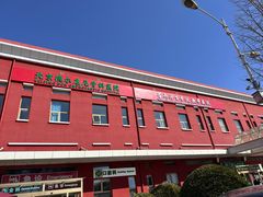 -北京德尔康尼骨科医院