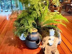 -青藤茶馆(凤起路店)