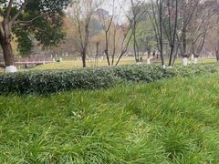 -沐仙湖湿地公园