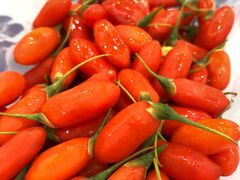 鲜枸杞-老毛手抓·盐池滩羊非遗手抓(宁夏总店)