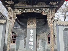 -大槐树寻根祭祖园
