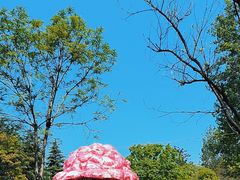 -洛阳市隋唐城遗址植物园