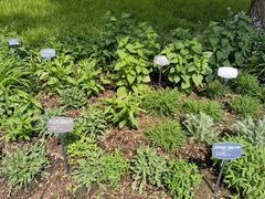 -国家植物园南园