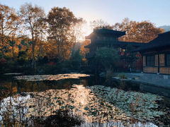 -习家池