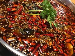 -味之绝热血美蛙鱼火锅(中坝店)