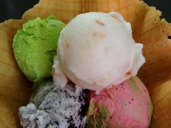 iphone_upload_pic-莓园冰淇淋店