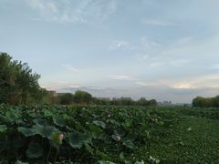 -青龙山国家森林公园