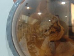 -特一安24小时宠物医院·骨科·中兽医