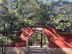 -灵谷景区