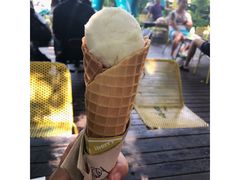 椰子口味-莓园冰淇淋店