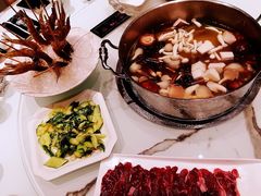 -新一哥粤菜火锅(瑞金店)
