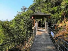 -九龙江国家森林公园