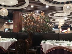 -胡杨记忆(和平路店)