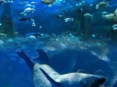 -郑州海洋馆