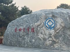 -秦始皇帝陵博物院(兵马俑)