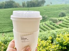 -白茶原·一片叶子