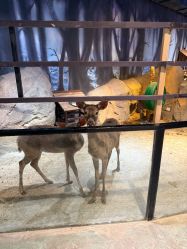 -酷嗒动物文化乐园(cutezoo西溪乐天城店)