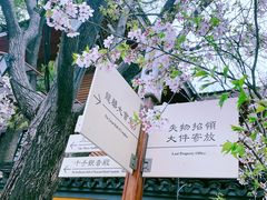 -龙华寺