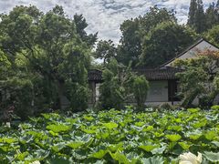 -上海醉白池公园