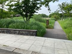 -长田漾湿地公园